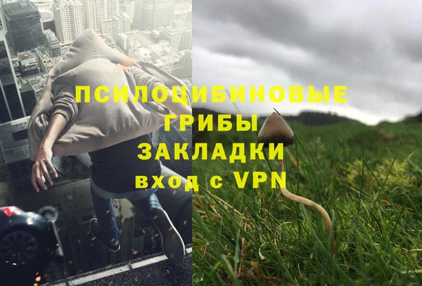 соль курить ск Липки