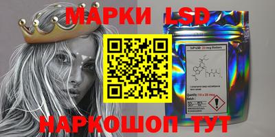 винт Кингисепп