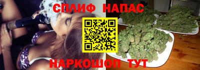 spice Кимры