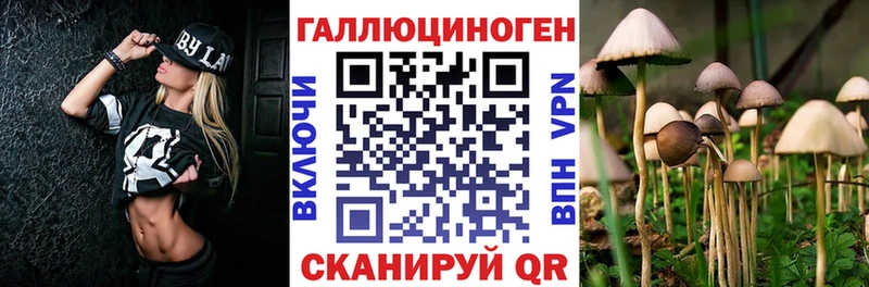 Галлюциногенные грибы Magic Shrooms  это клад  Углич 