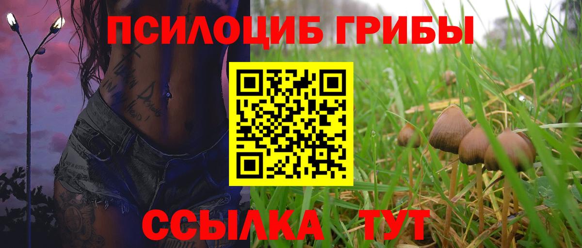 Псилоцибиновые грибы мицелий Углич